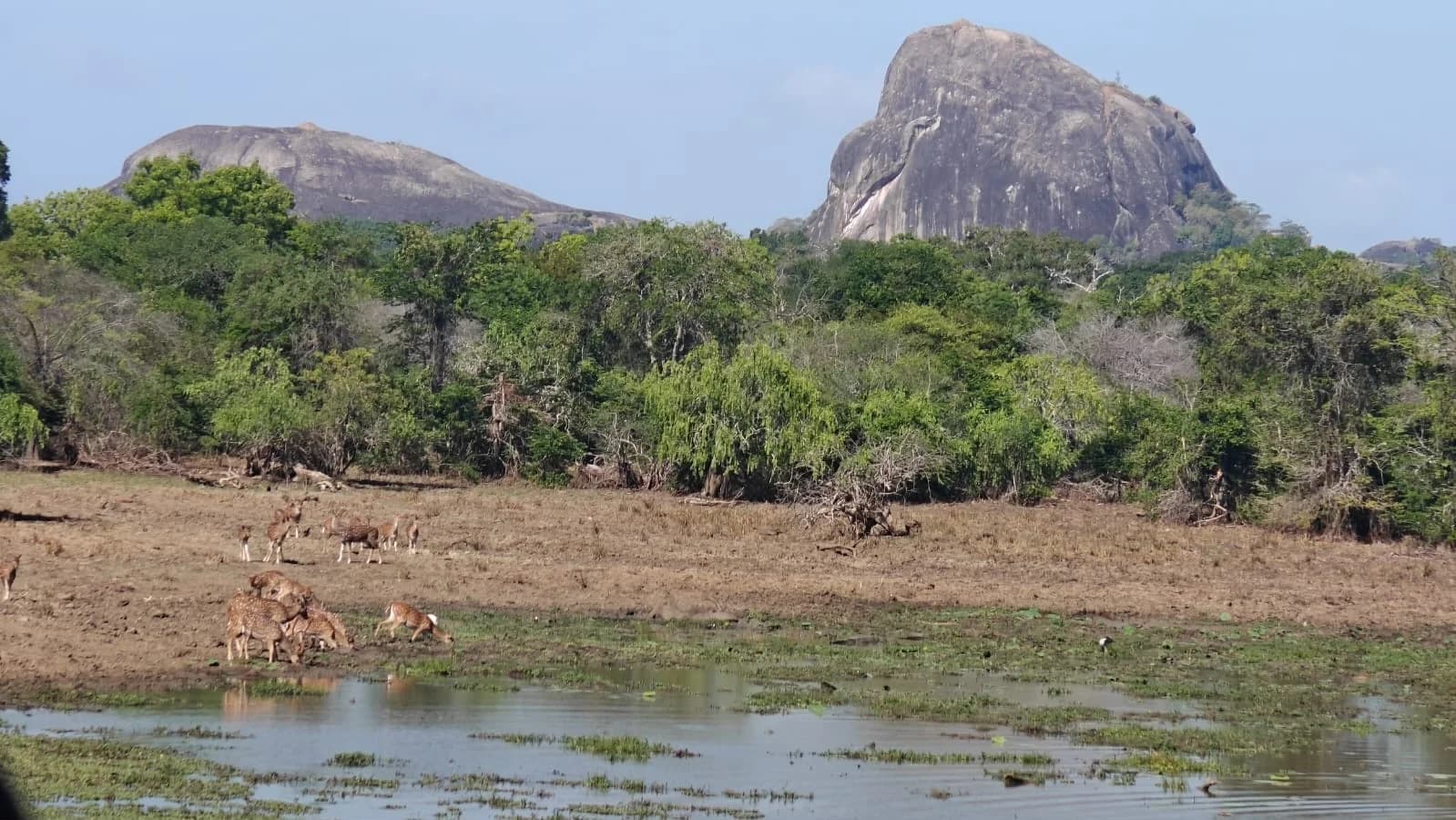 Wildlife Beneath the Rock, Dry-Zone Reserve