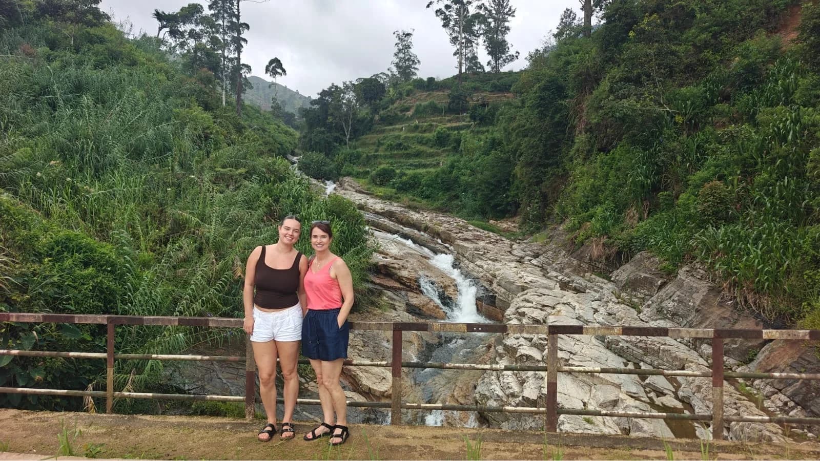 Bridge Above the Falls, Tea Country