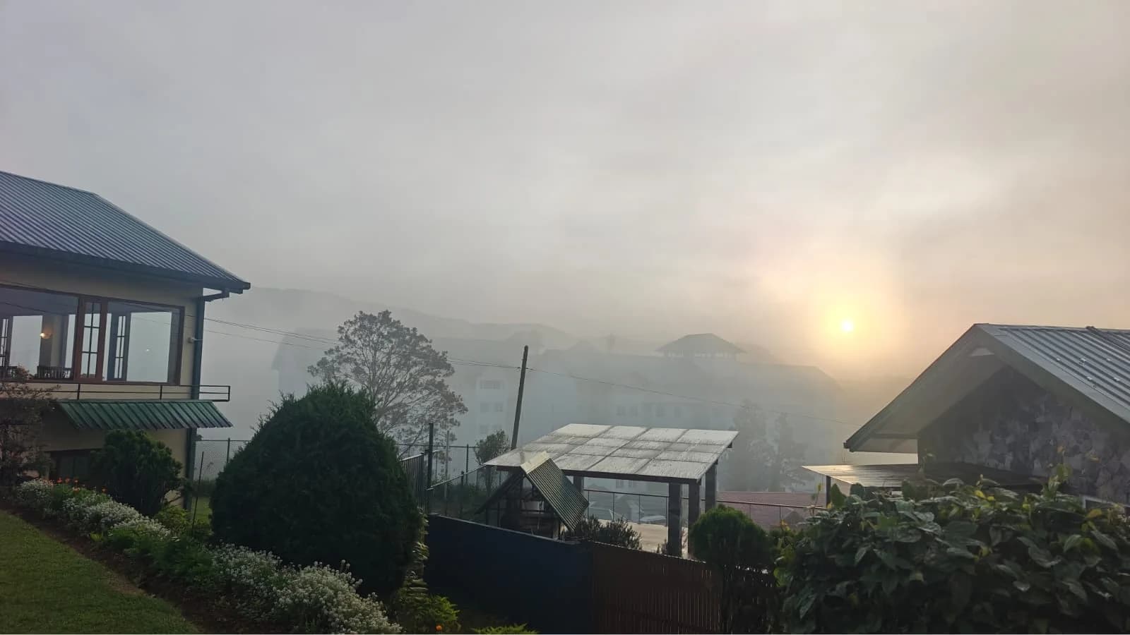 Misty Hill Country Dawn, Nuwara Eliya