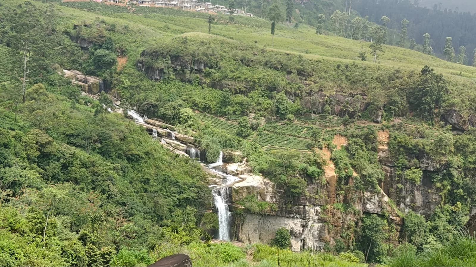 Waterfalls Through the Tea, Hill Country