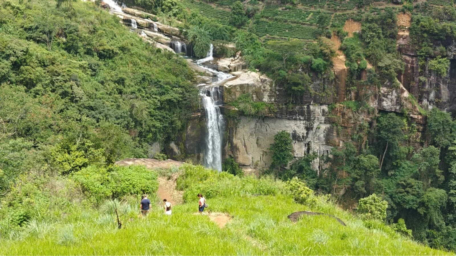 Tea terraces and waterfalls on a private Sri Lanka tour