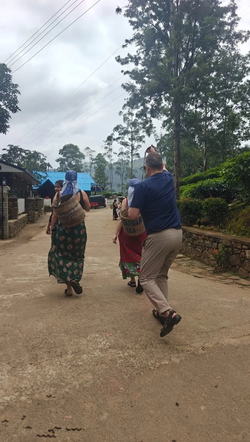 The Harvesters’ Path, Tea Country